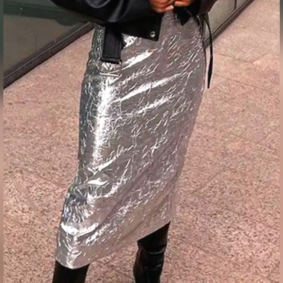 NWT Silver Midi Skirt - Picture 1 of 4